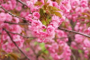 杭州钱塘区5线下个人借款平台一站式服务，轻松解决资金难题