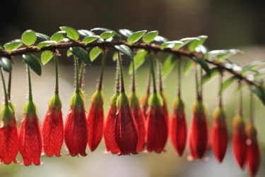 杭州钱塘区5零用贷短借：轻松解决临时资金需求