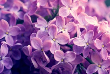 杭州钱塘区5企业急用钱贷款攻略：快速融资解燃眉之急